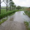 regn_11-12_juni_2009 1